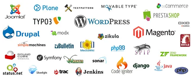 cms-customization