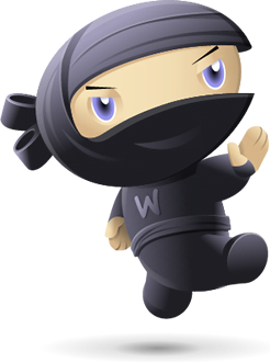 ninja kick ninja kick