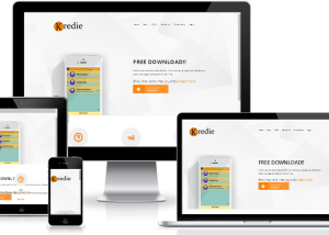 our portfolio kredie big