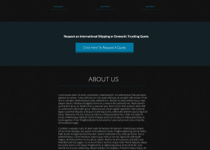 our portfolio shipping website 1
