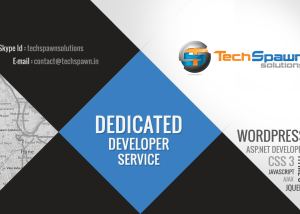 techspawn dedicated developer