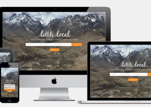 Little Local Portfolio