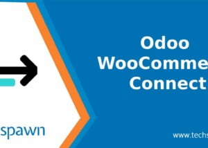 Odoo Woocommerce Connect Portfolio