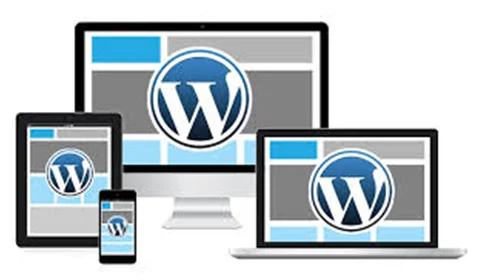 Hire WordPress Developer