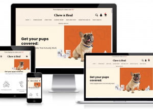 Chew+Heal Portfolio