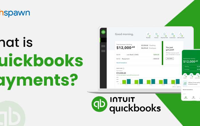 What is Quickbooks Payments _Techspawn Solutions Pvt Ltd