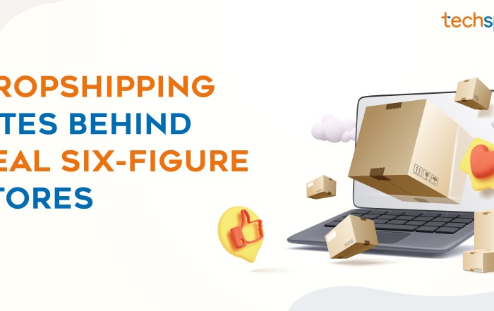 Dropshipping sites that survived recent algorithm changes in ecommerce advertising