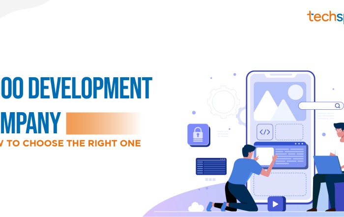 Techspawn's Odoo development team working on a custom ERP project in Pune